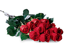 One Dozen Boxed Roses